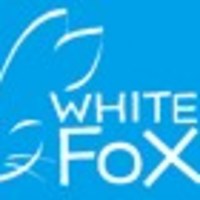 WHITE FOX